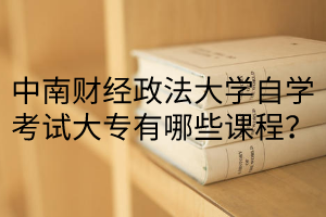 中南财经政法大学自学考试大专有哪些课程?