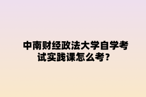 中南财经政法大学自学考试实践课怎么考?